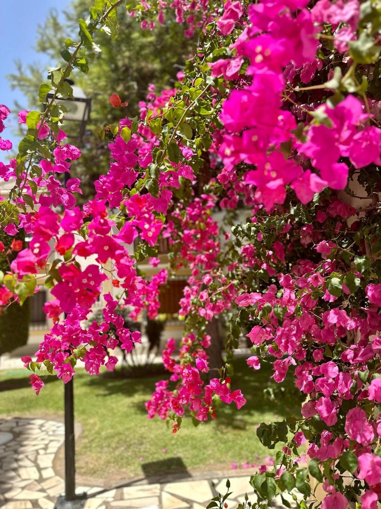 Casa Veranera Vera Costa Playas de Vera ภายนอก รูปภาพ