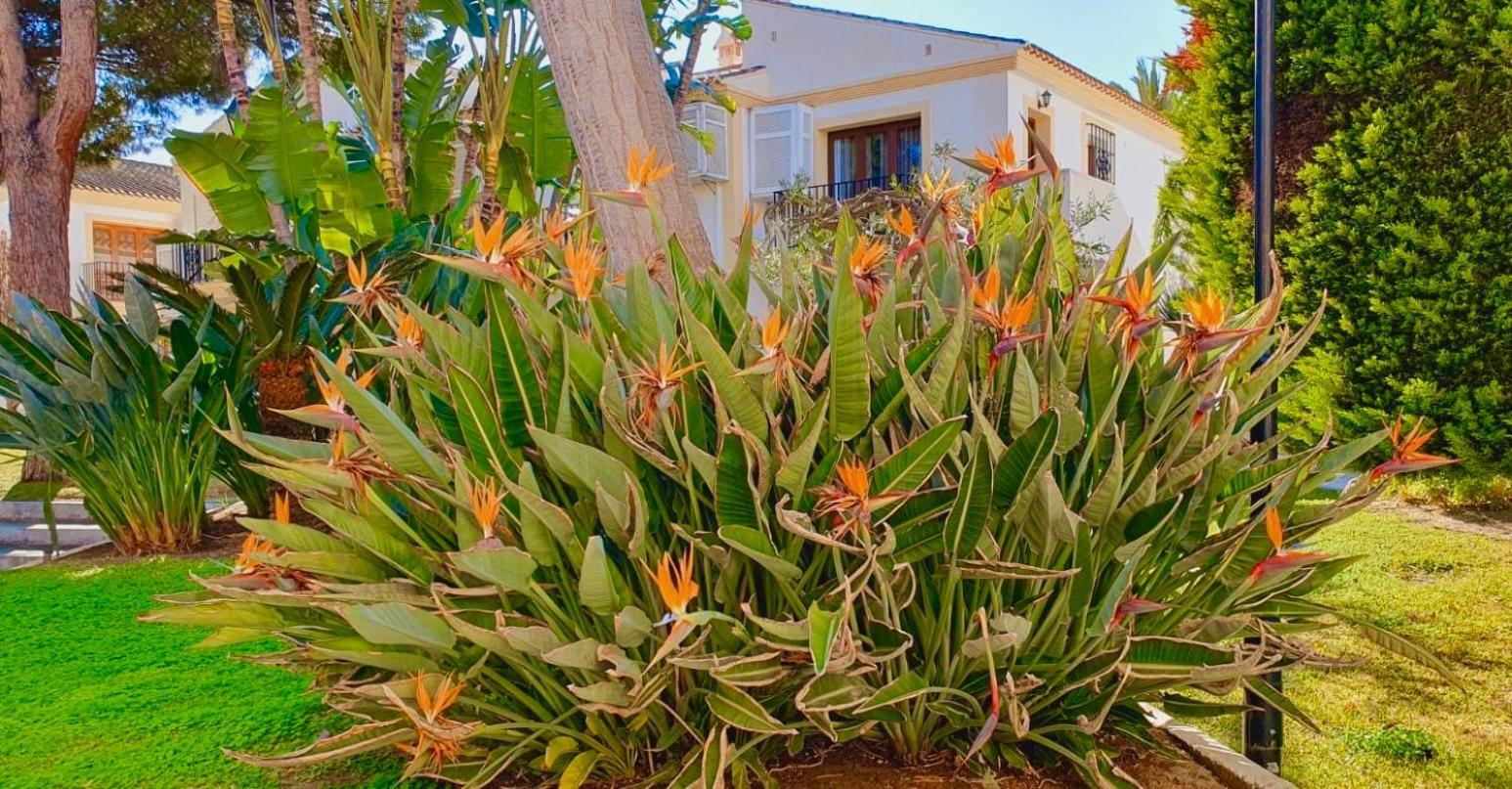 Casa Veranera Vera Costa Playas de Vera ภายนอก รูปภาพ