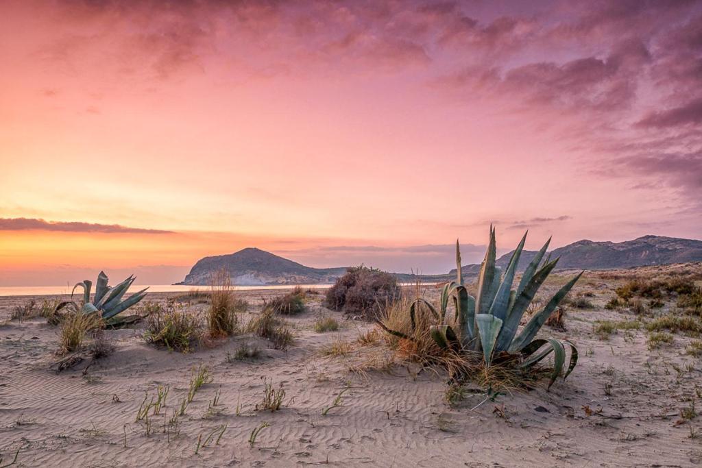 Casa Veranera Vera Costa Playas de Vera ภายนอก รูปภาพ